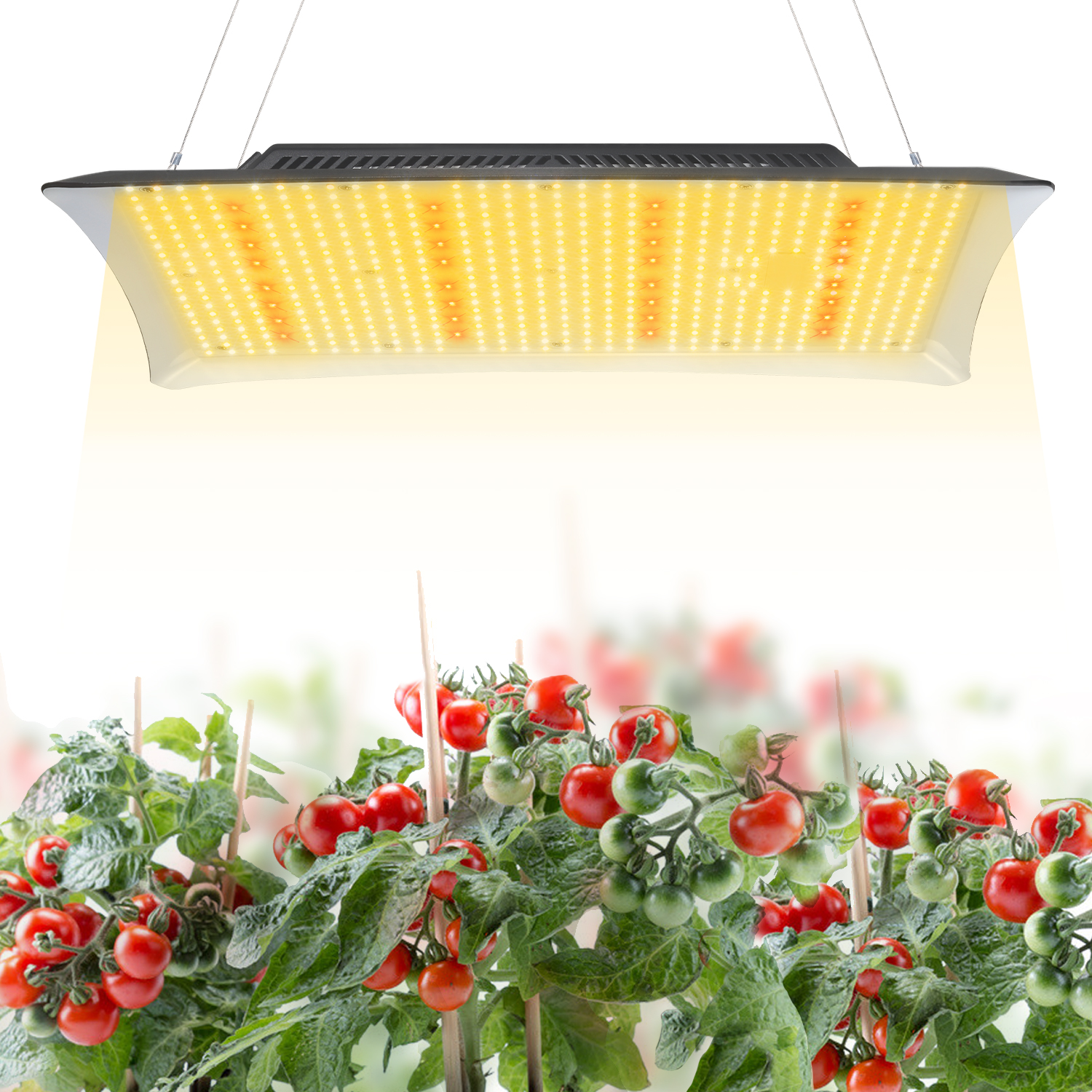 艾博特YD系列2000詳情頁(yè)