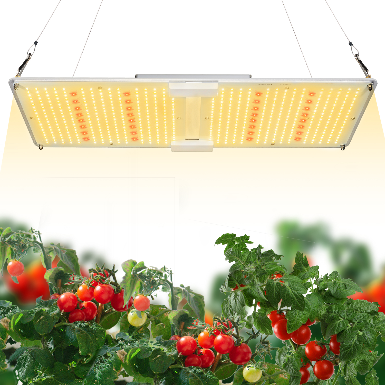 艾博特YC系列2000G詳情頁