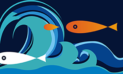 深圳品牌營(yíng)銷策劃-娃哈哈品牌分析：如何在激烈競(jìng)爭(zhēng)中脫穎而出？