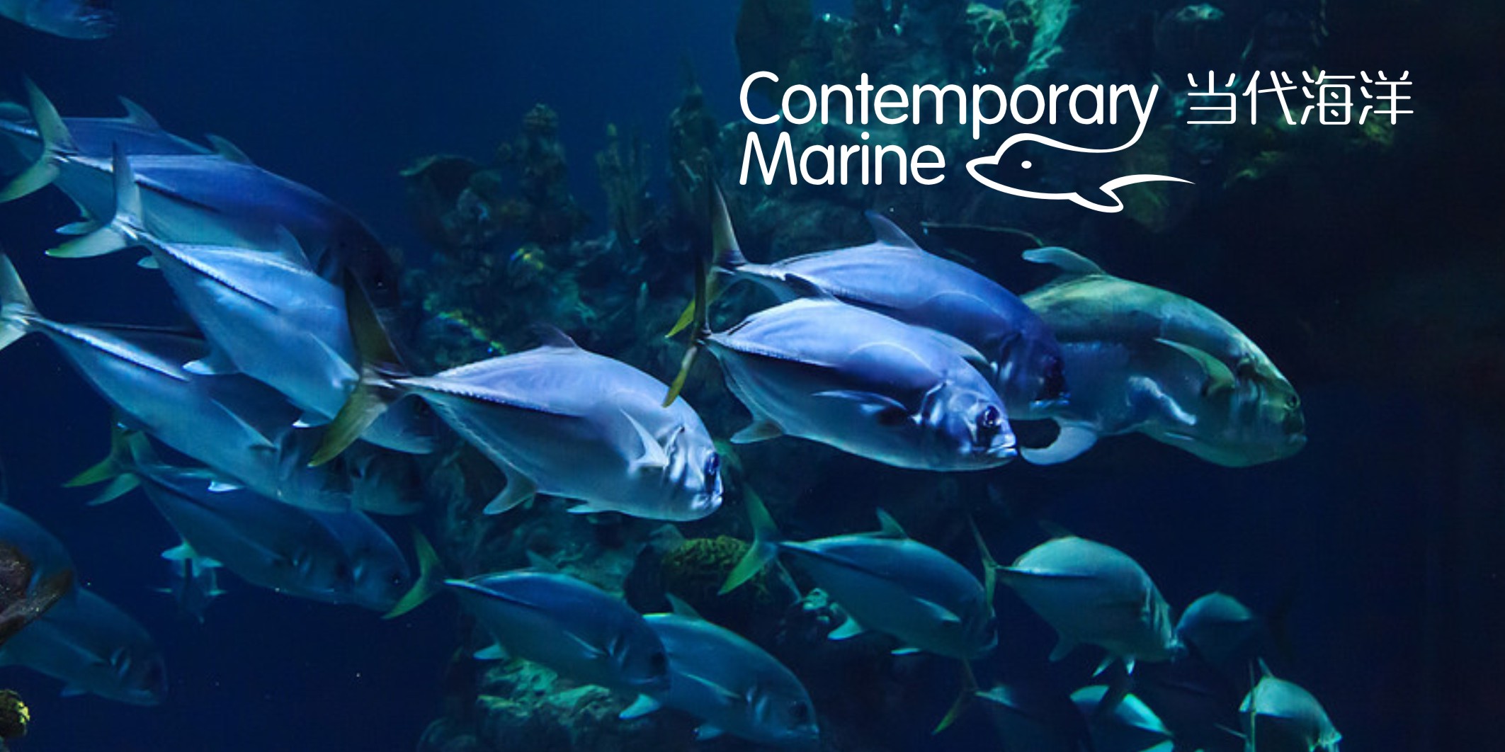 7天完成品牌升級！微型VI設(shè)計全流程解析