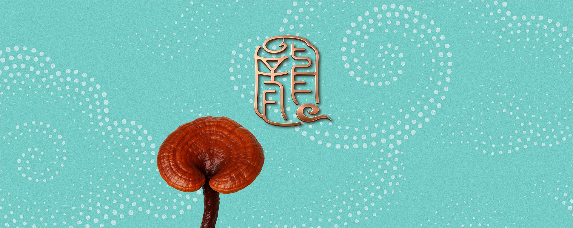 龍溪谷品牌包裝策劃設(shè)計(jì)，品牌定位，logo設(shè)計(jì)